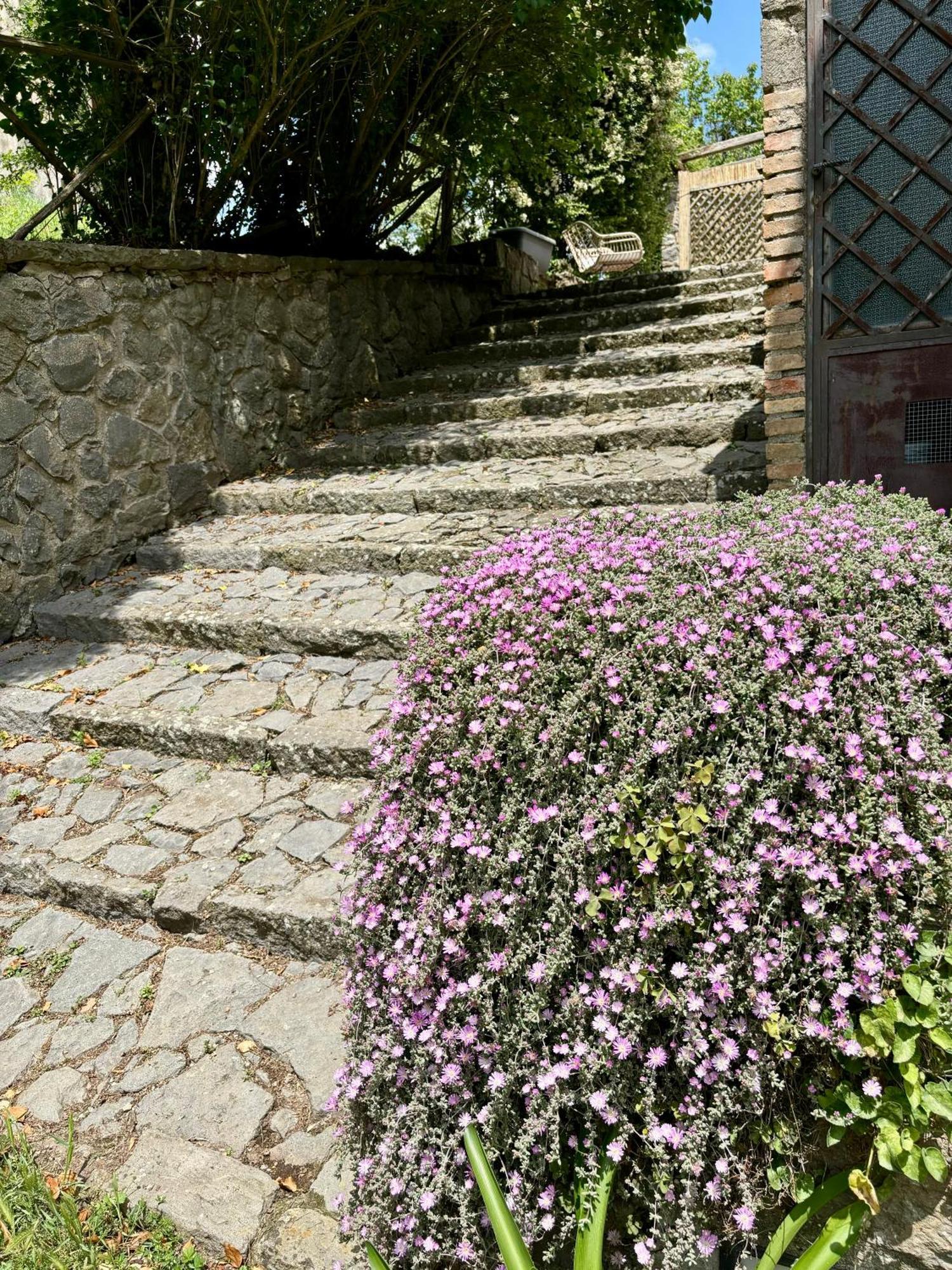 Collina Blu Bed & Breakfast Bolsena Exterior foto