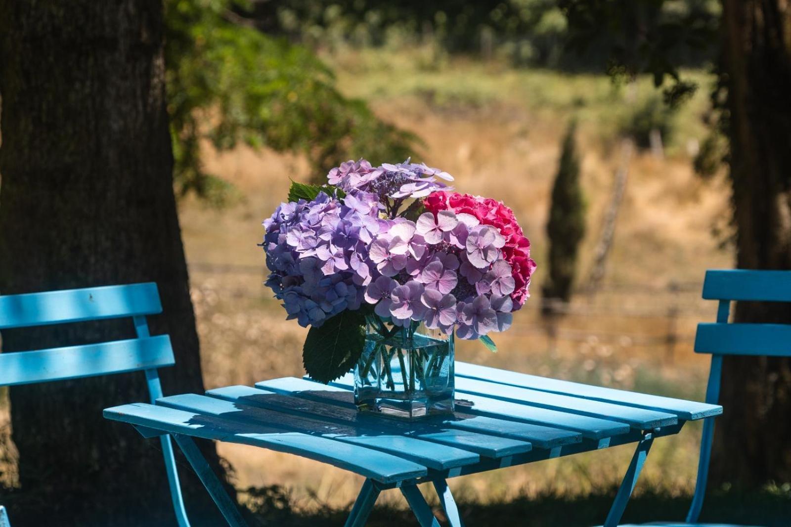 Collina Blu Bed & Breakfast Bolsena Exterior foto
